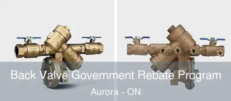  Back Valve Government Rebate Program Aurora - ON