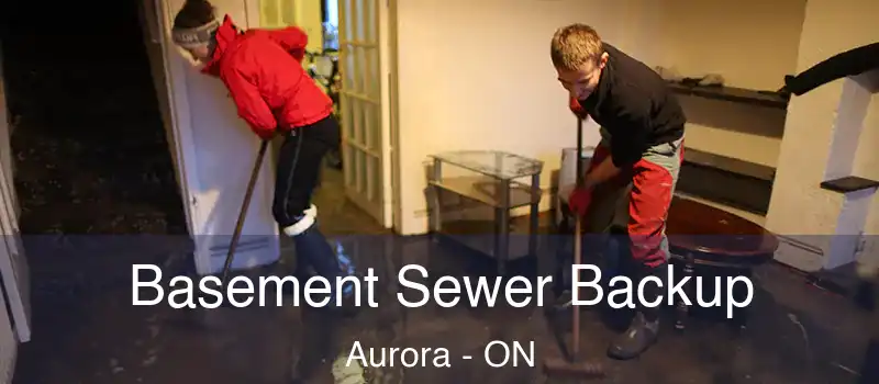  Basement Sewer Backup Aurora - ON