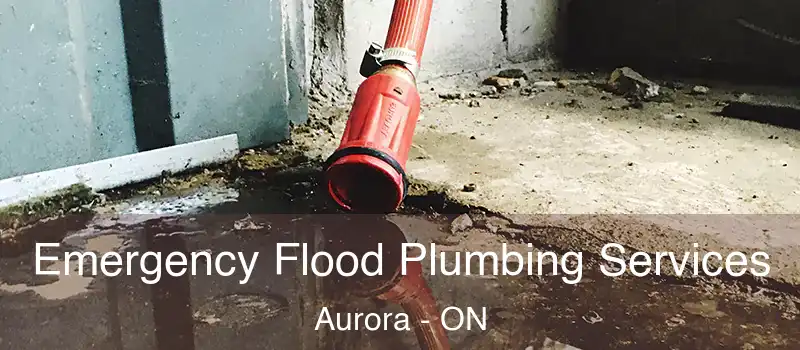  Emergency Flood Plumbing Services Aurora - ON