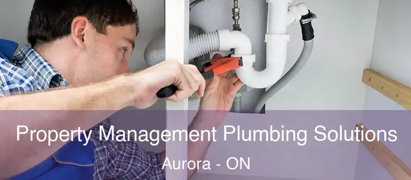  Property Management Plumbing Solutions Aurora - ON