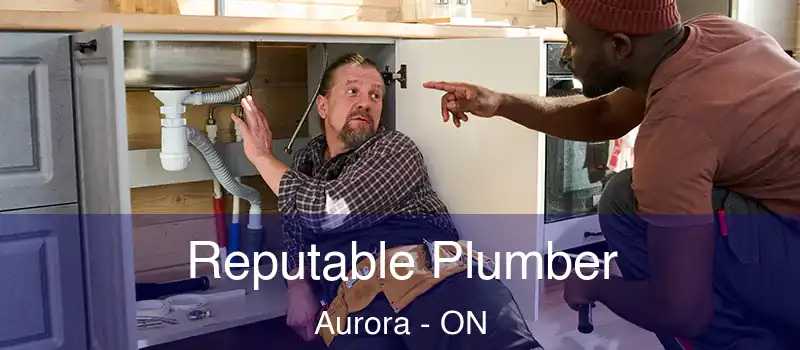  Reputable Plumber Aurora - ON