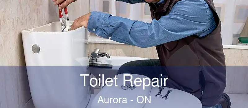  Toilet Repair Aurora - ON