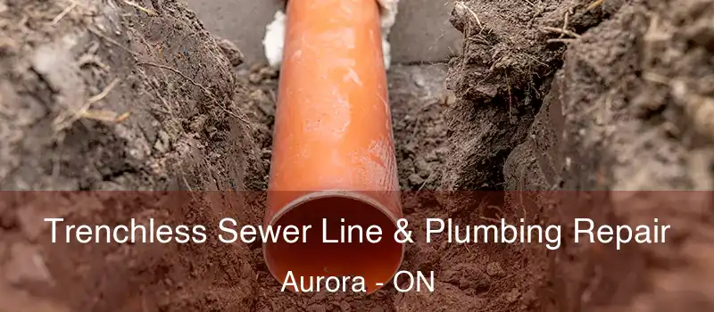  Trenchless Sewer Line & Plumbing Repair Aurora - ON
